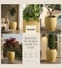 WKTR Beige 18 Inch German Polymer Tall Round Plant Container with Saucer