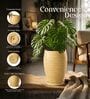 WKTR Beige 18 Inch German Polymer Tall Round Plant Container with Saucer