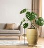 WKTR Beige 18 Inch German Polymer Tall Round Plant Container with Saucer