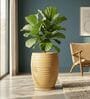 WKTR Beige 18 Inch German Polymer Tall Round Plant Container with Saucer