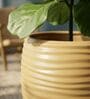 WKTR Beige 18 Inch German Polymer Tall Round Plant Container with Saucer