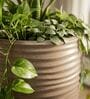 WKTR Choco Brown 18 Inch German Polymer Tall Round Plant Container with Saucer