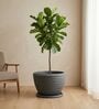 WKTR Grey 18 Inch German Polymer Round Plant Container with Saucer