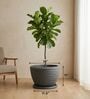 WKTR Grey 18 Inch German Polymer Round Plant Container with Saucer