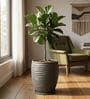 WKTR Grey 18 Inch German Polymer Tall Round Plant Container with Saucer