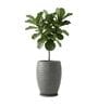 WKTR Grey 18 Inch German Polymer Tall Round Plant Container with Saucer