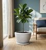 WKTR Marble White 18 Inch German Polymer Round Plant Container with Saucer