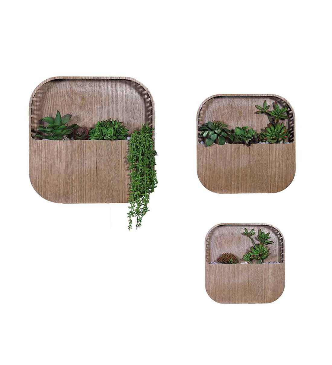 Buy Wooden Set of 3 Wall Planter Online Wall Planters Pots