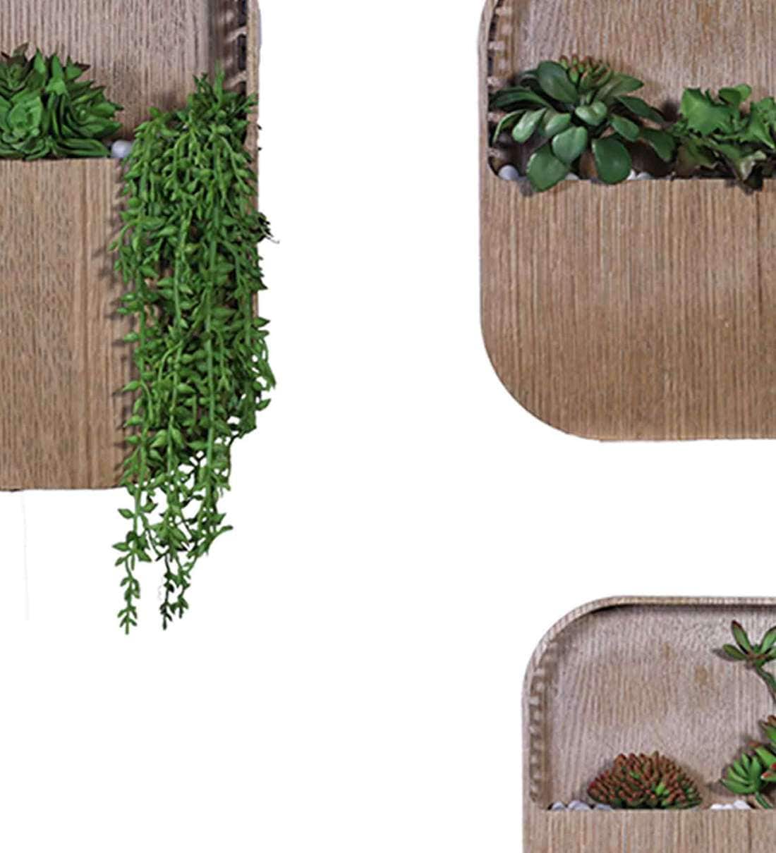 Buy Wooden Set of 3 Wall Planter Online Wall Planters Pots