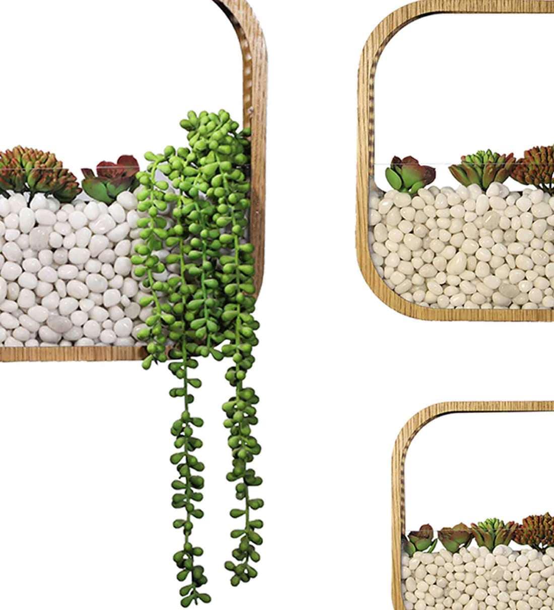 Buy Wooden Set of 3 Wall Planter Online Wall Planters Pots