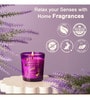 Wonder Series Chamomile & Lavender Glass Candle (Purple)