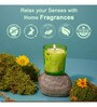 Wonder Series Forest Bliss Glass Candle (Green)