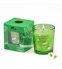 Wonder Series Forest Bliss Glass Candle (Green)