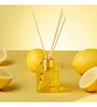 Wonder Series Reed Diffuser