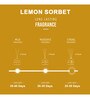 Wonder Series Reed Diffuser
