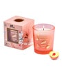 Wonder Series Tropical Peach Glass Candle (Pink)