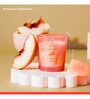 Wonder Series Tropical Peach Glass Candle (Pink)