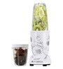 Wonderchef Nutri-Blend 400-Watt Mixer Grinder with 3 Jars (White)