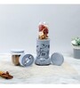 Wonderchef SS Blades 400W 2 Jar Nutri Blend Mixer Grinder & Blender (Grey)