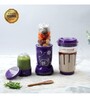Wonderchef SS Blades 400W 3 Jar Nutri Blend Juicer Mixer Grinder (Purple)