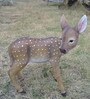 Standing Deer Garden Decoration Standing Deer Garden Decoration