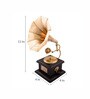 Wood & Brass Gramophone showpiece