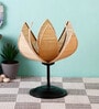 Wood Beige Table Lamp