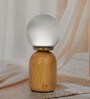 Wood Capsule Touch-Activated LED Table Lamp with Smoky Frosted Glass