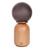 Wood Capsule Touch-Activated LED Table Lamp with Smoky Frosted Glass