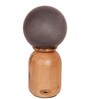 Wood Capsule Touch-Activated LED Table Lamp with Smoky Frosted Glass