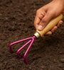 Purple Wooden Artisan Gardening Hand Cultivator