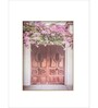 wooden door with blooming bougainvillea
