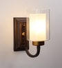 Inverted Metal Wall Mounted Uplight Sconce (Brown)