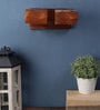 Carolie Brown Metal LED Wall Lights