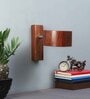 Aavyn Brown Metal LED Wall Lights