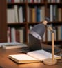 Wooden-Metalic Gray Study Desk Lamp
