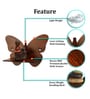 (Set Of 3) Butterfly Wooden Wall Shelfs In Brown Color