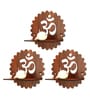 (Set Of 3)Om Wooden Wall Shelfs In Brown Color