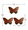 (Set Of 3) Butterfly Wooden Wall Shelfs In Brown Color