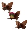 (Set Of 3) Butterfly Wooden Wall Shelfs In Brown Color