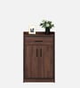 Woodland 2 Door Shoe Cabinet With Drawer In Sheesham & Melamine Finish