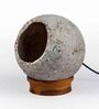 Woodlot Bulbous Feather Cement Wooden Base  Table Lamp