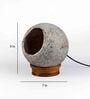 Woodlot Bulbous Feather Cement Wooden Base  Table Lamp