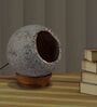 Woodlot Bulbous Feather Cement Wooden Base  Table Lamp