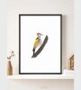 Woodpecker Bird Wall Art
