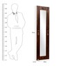 Sheesham  Wood Full Length Mirror in Brown colour