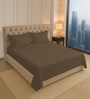 Woody Brown Solid 400 TC Cotton King Sized Bedsheet with 2 Pillow Covers