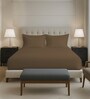Woody Brown Solid 400 TC Cotton King Sized Fitted sheet with 2 Pillow Covers