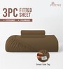 Woody Brown Solid 400 TC Cotton Queen Sized Fitted sheet with 2 Pillow Covers