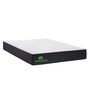 Woody Reversible PU & HD Foam 4 Inch Queen Size Mattress